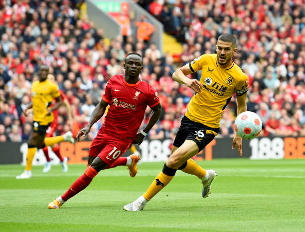 进而推动了 进而推动了