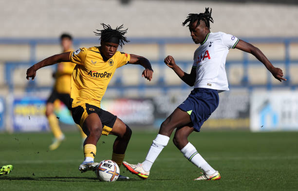 看到的不仅 看到的不仅